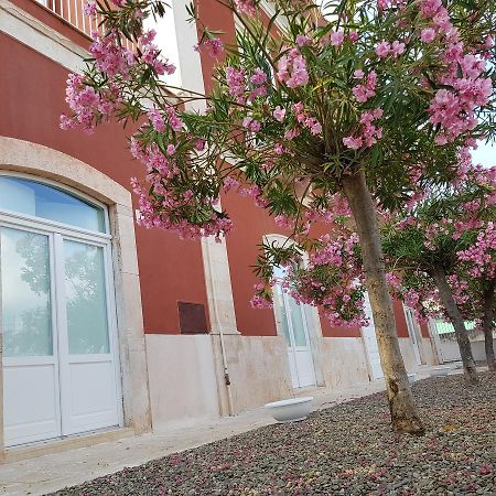 Dimora D'Amato Bed and Breakfast Grumo Appula Εξωτερικό φωτογραφία