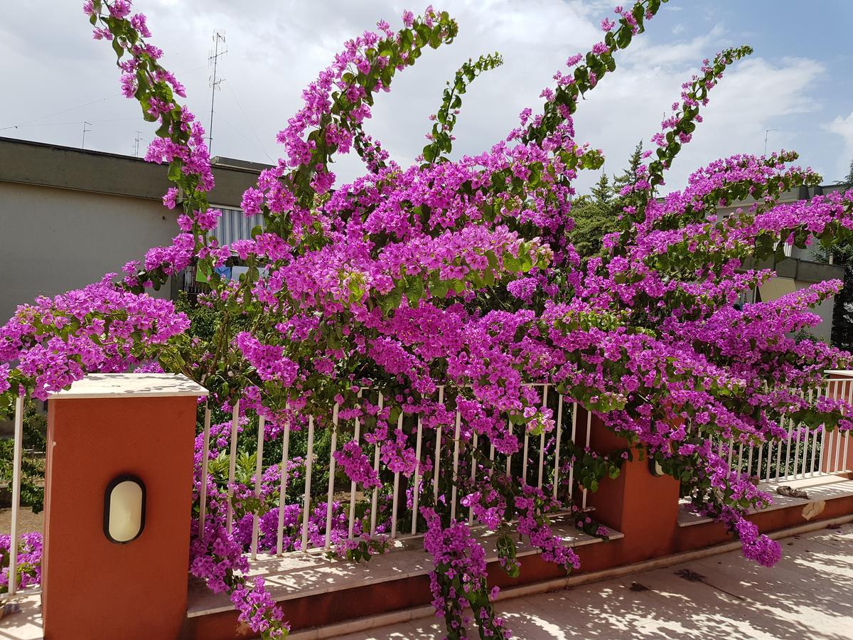 Dimora D'Amato Bed and Breakfast Grumo Appula Εξωτερικό φωτογραφία